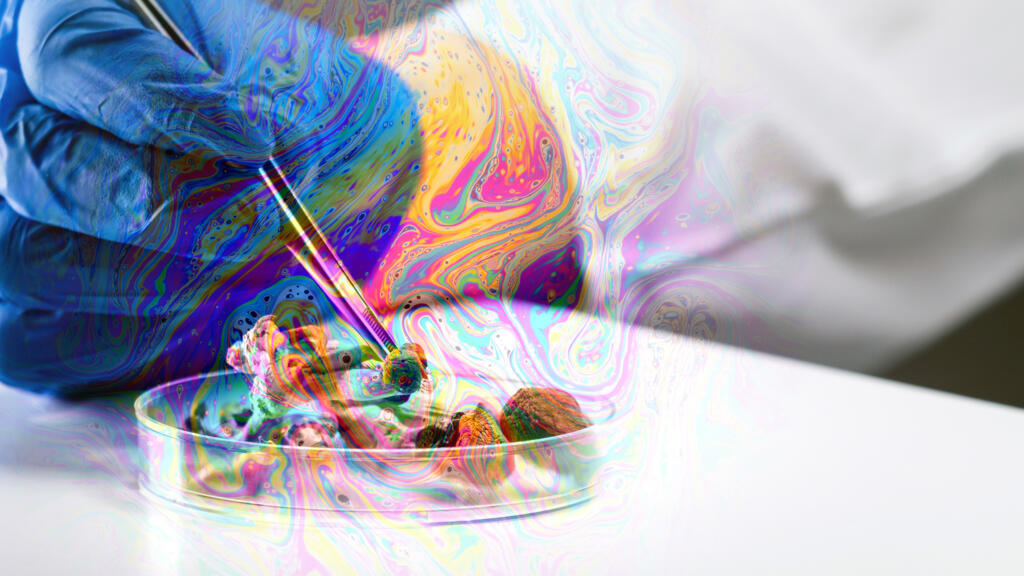 Des champignons en psychiatrie: la psilocybine, entre promesses thérapeutiques et prudence médicale